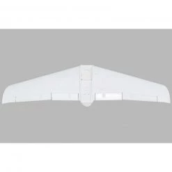 E-flite Painted Wing V1200